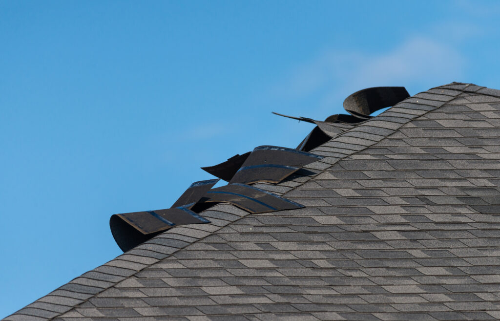 roof repair services Arizona